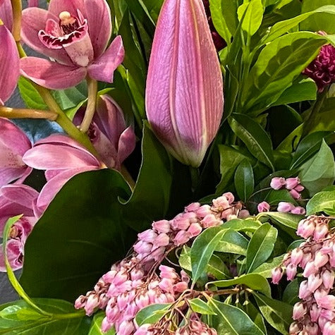 Purple, Pink flowers Crows Nest Florist