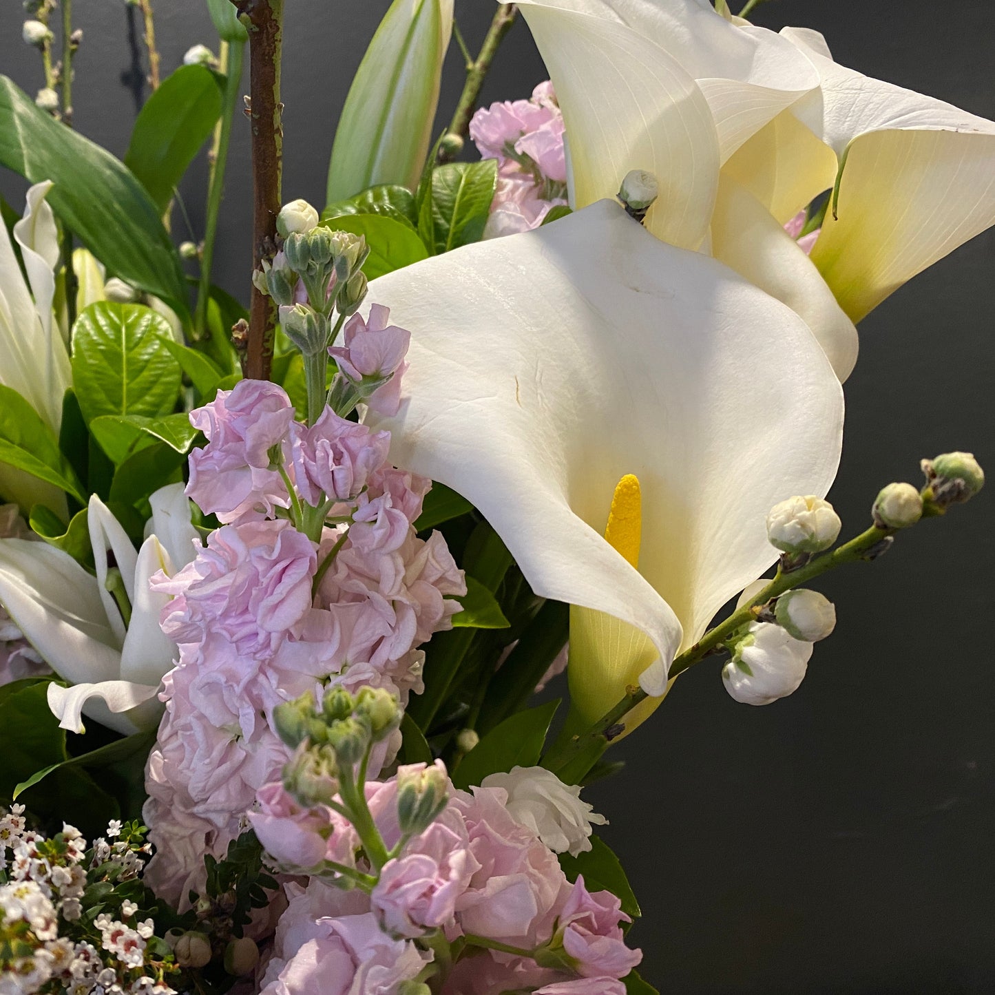 Fresh cherry blossoms for delivery