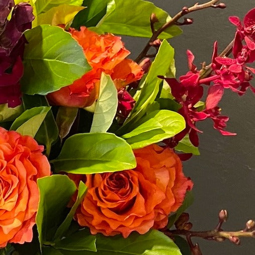 Close up on our medium bright and vibrant.