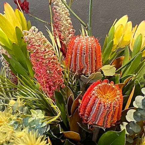 Banksia & Grevillea