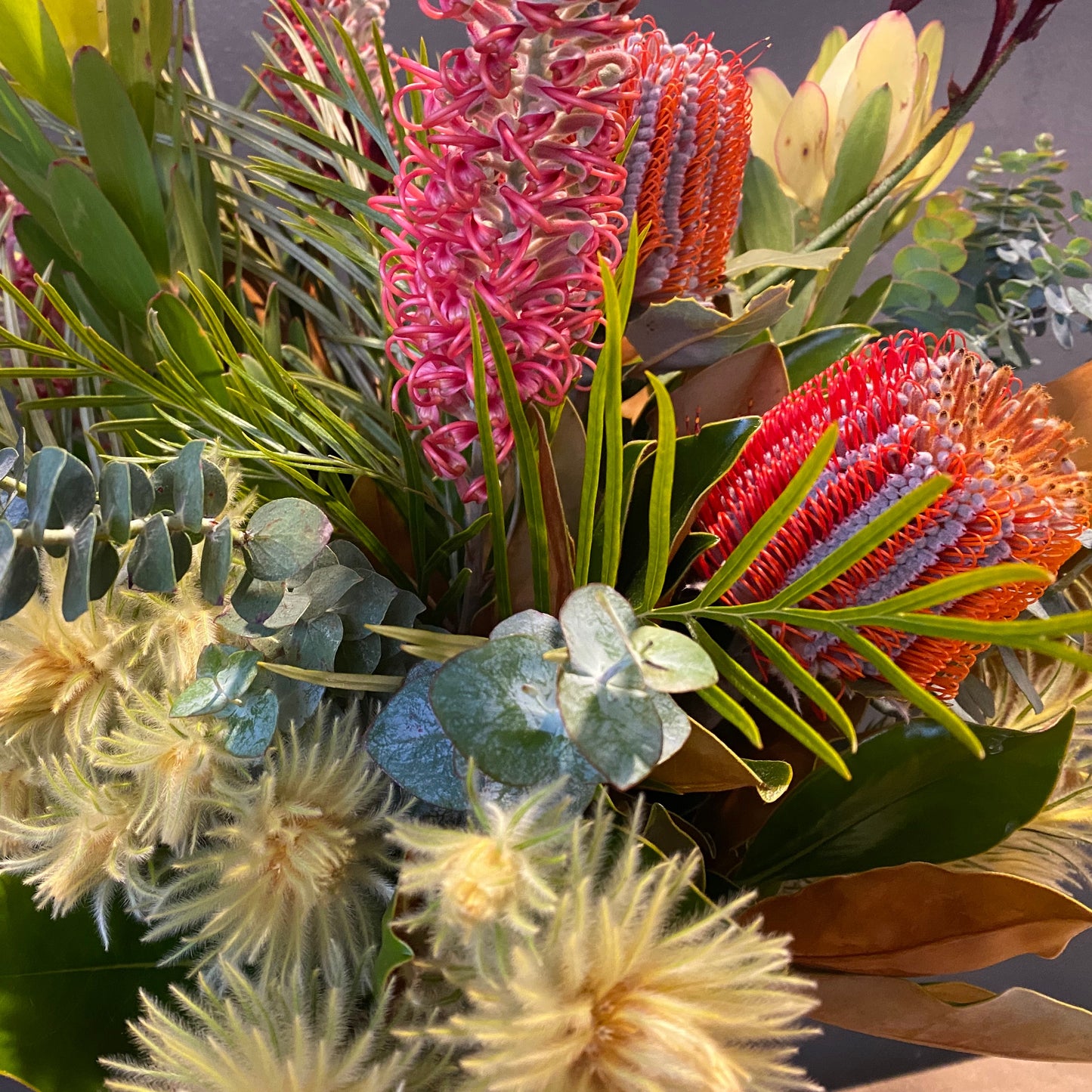 Banksia, Grevillea, Australian Native Flowers
