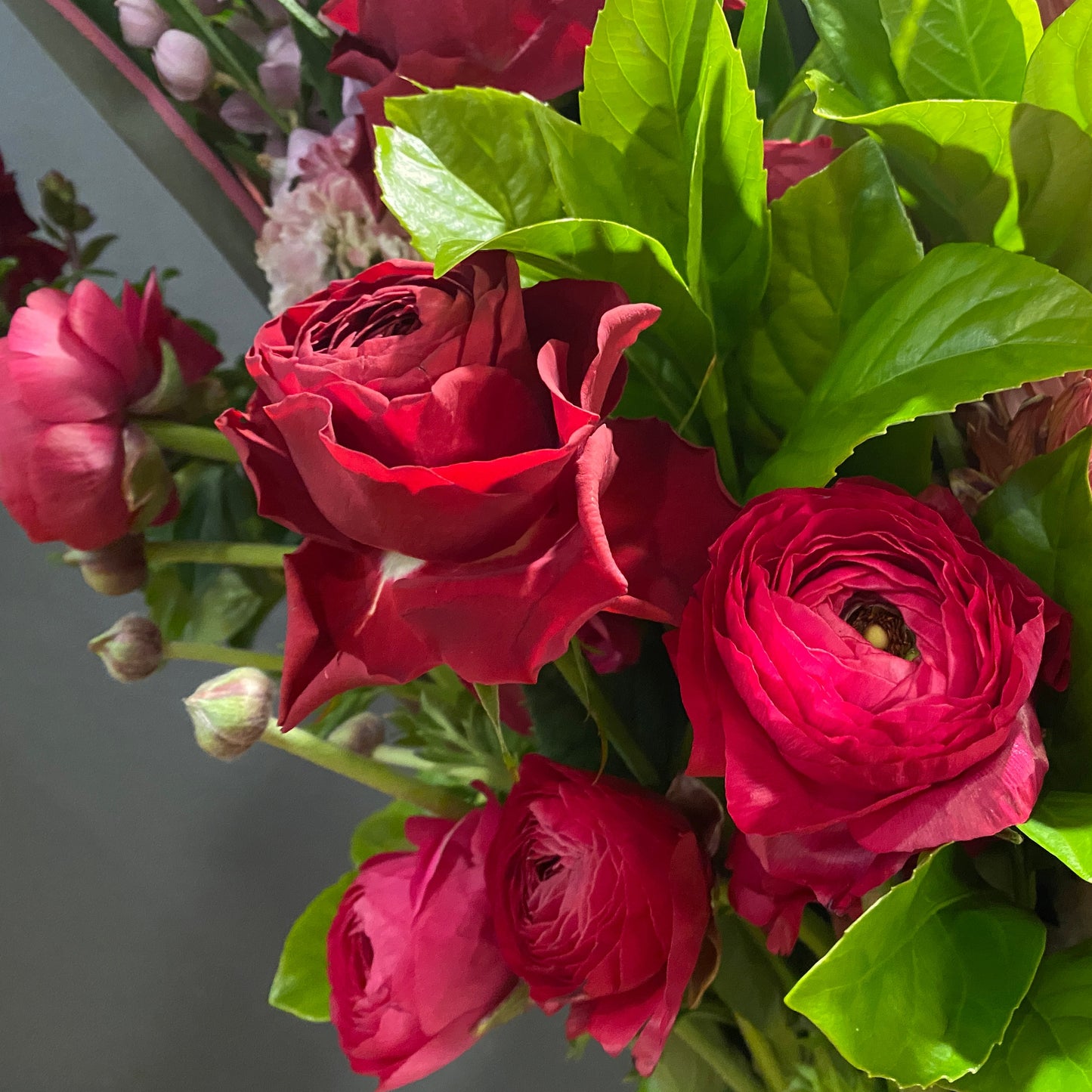 Gorgeous Roses Sydney