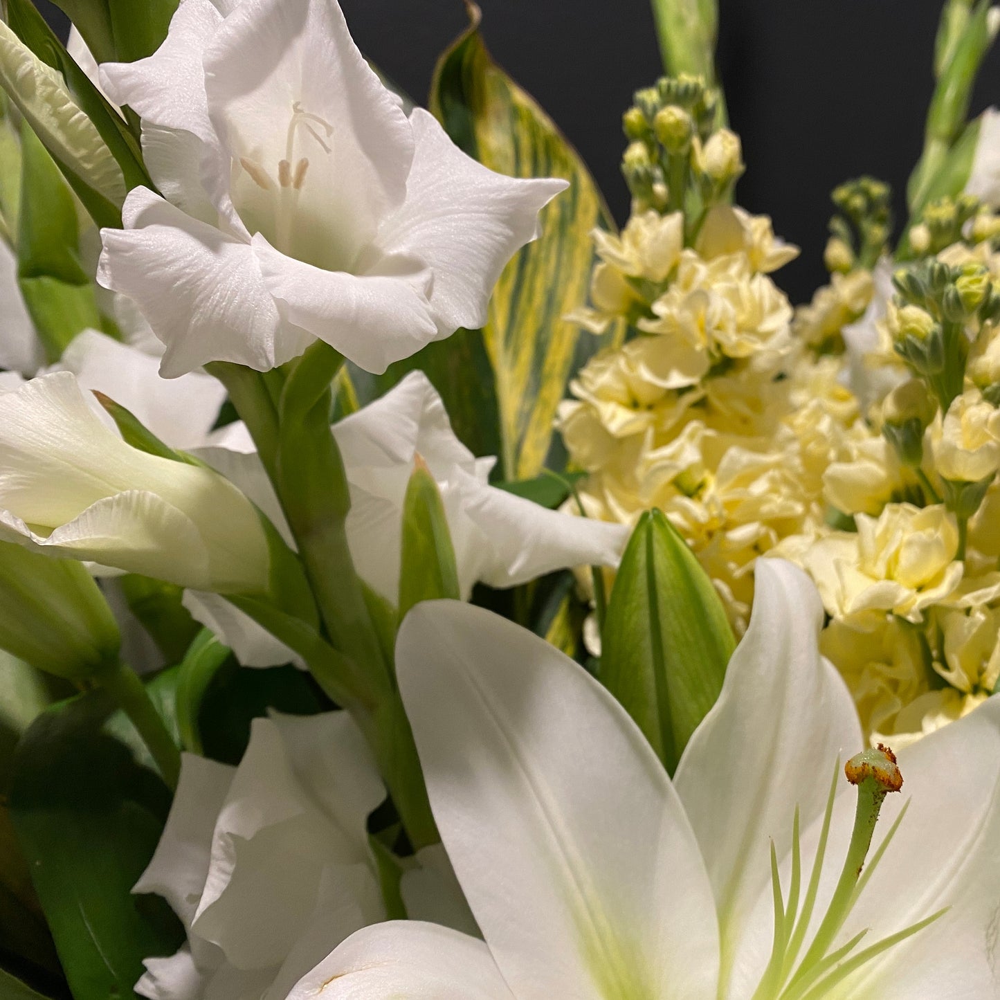 Fresh Flowers