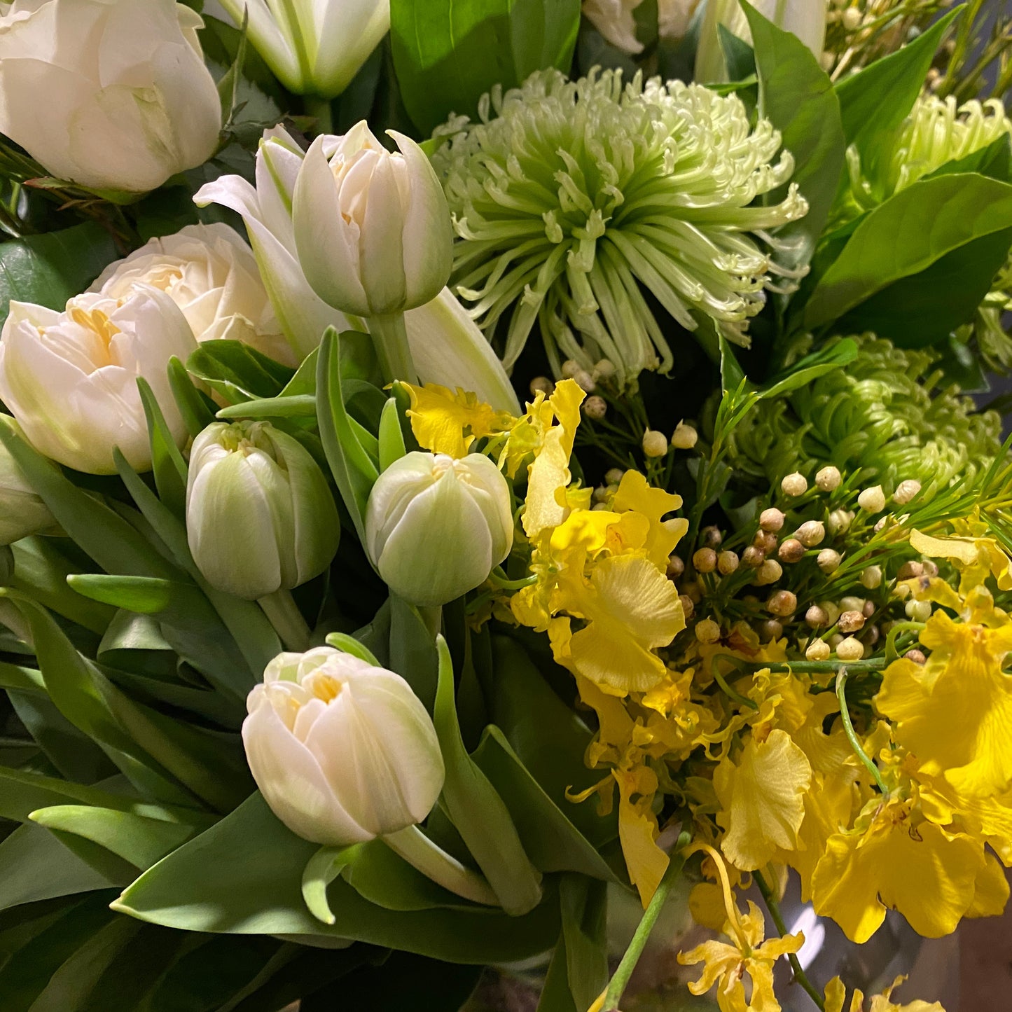 White Tulips