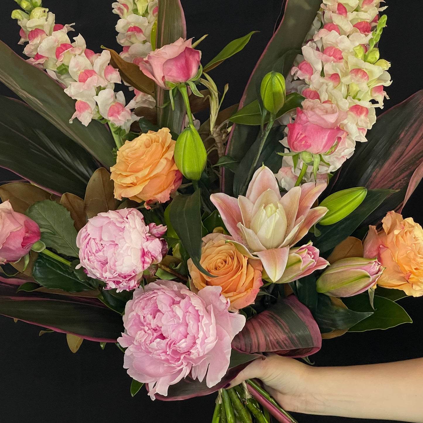 Peony, Peony Flowers Sydney