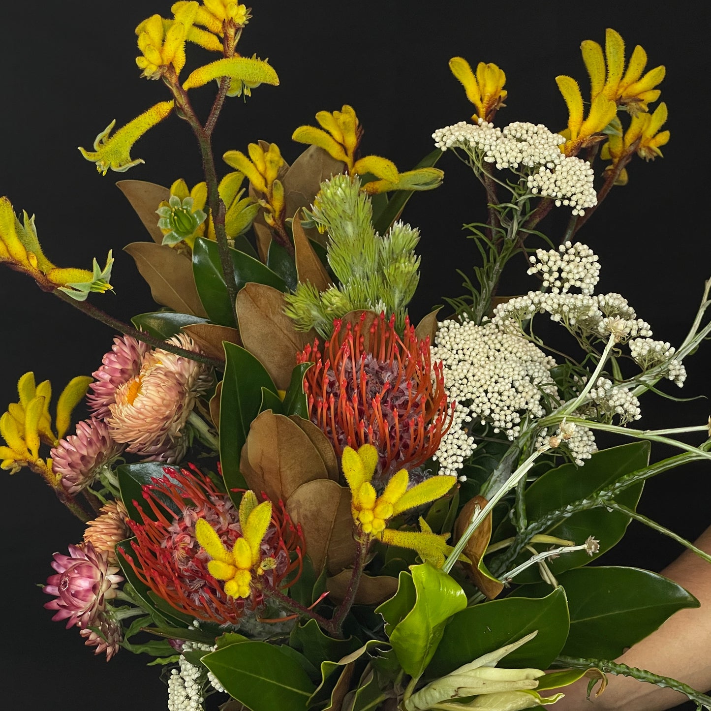 Small Native up close, Fresh available in Crows Nest