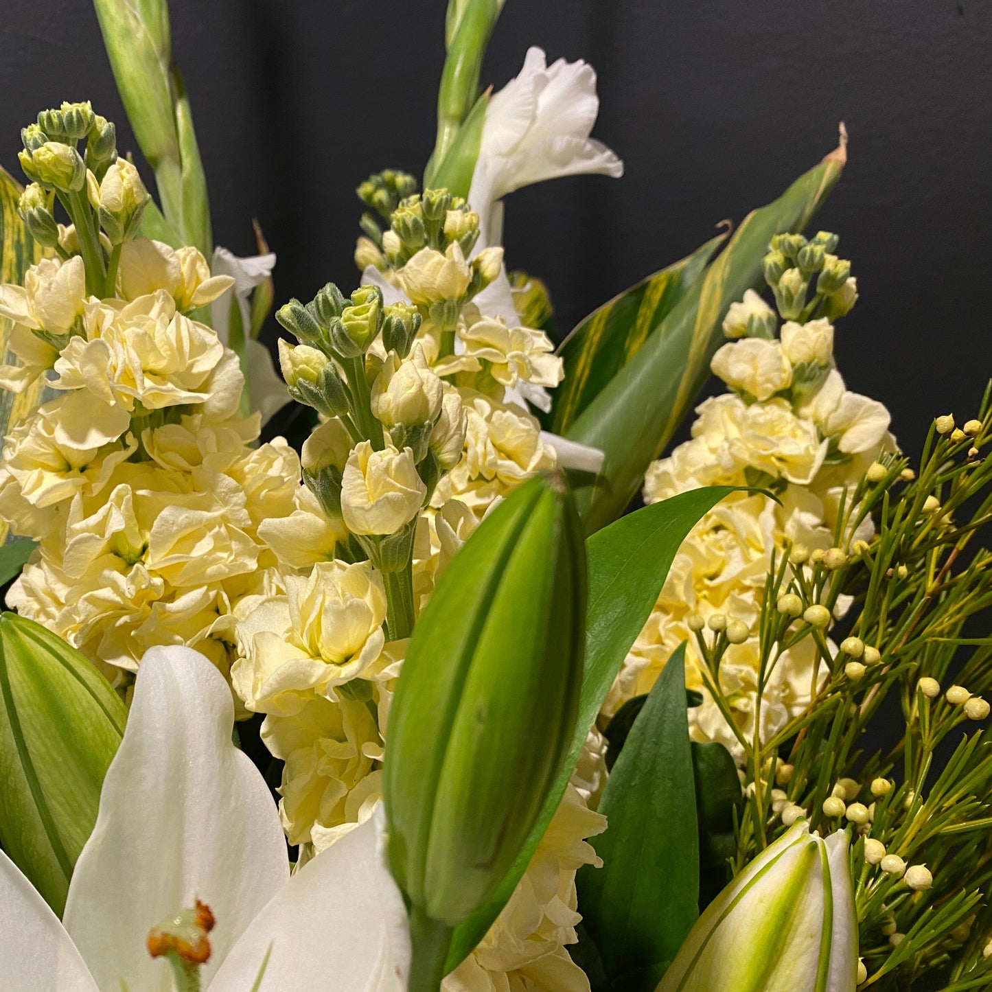Yellow Flowers