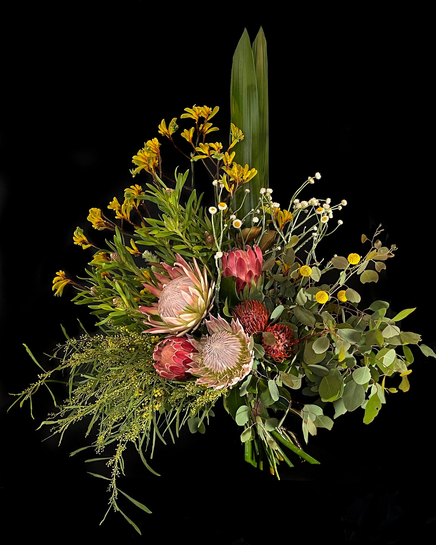 King Protea & Native flowers