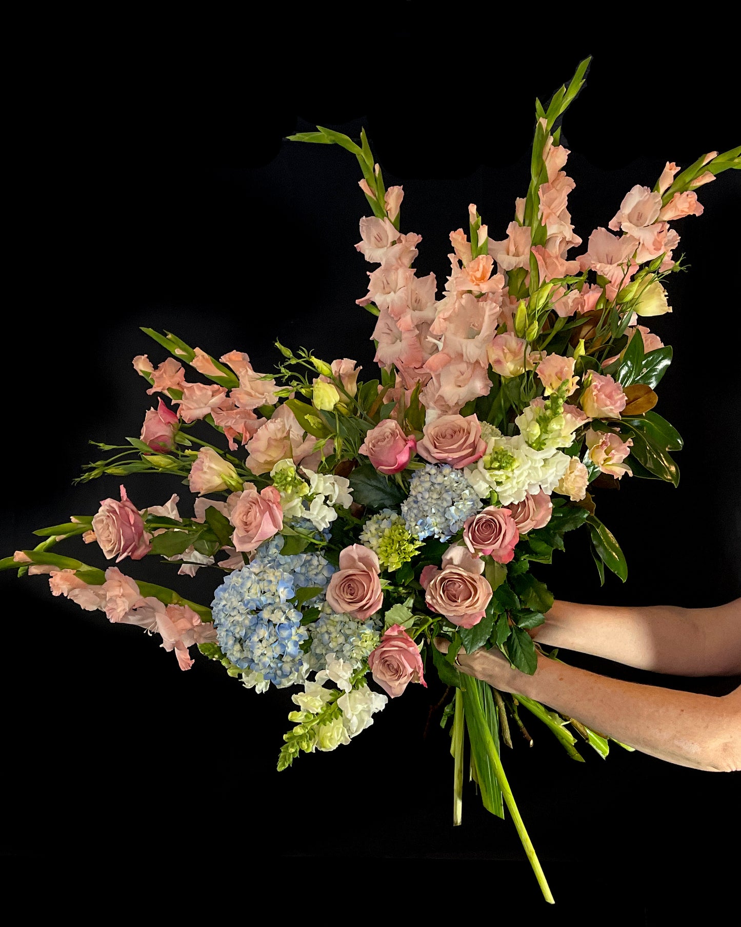 Hydrangea Flowers Sydney