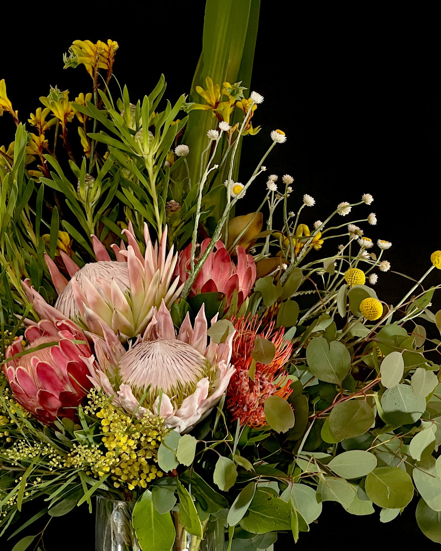 King Protea