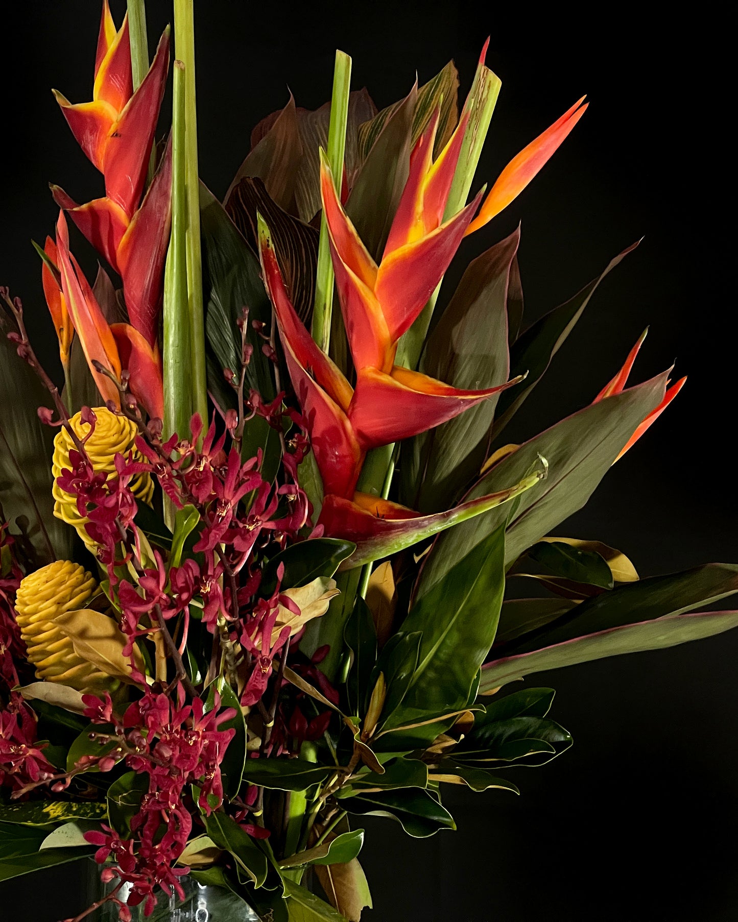 Bright & Vibrant Flowers