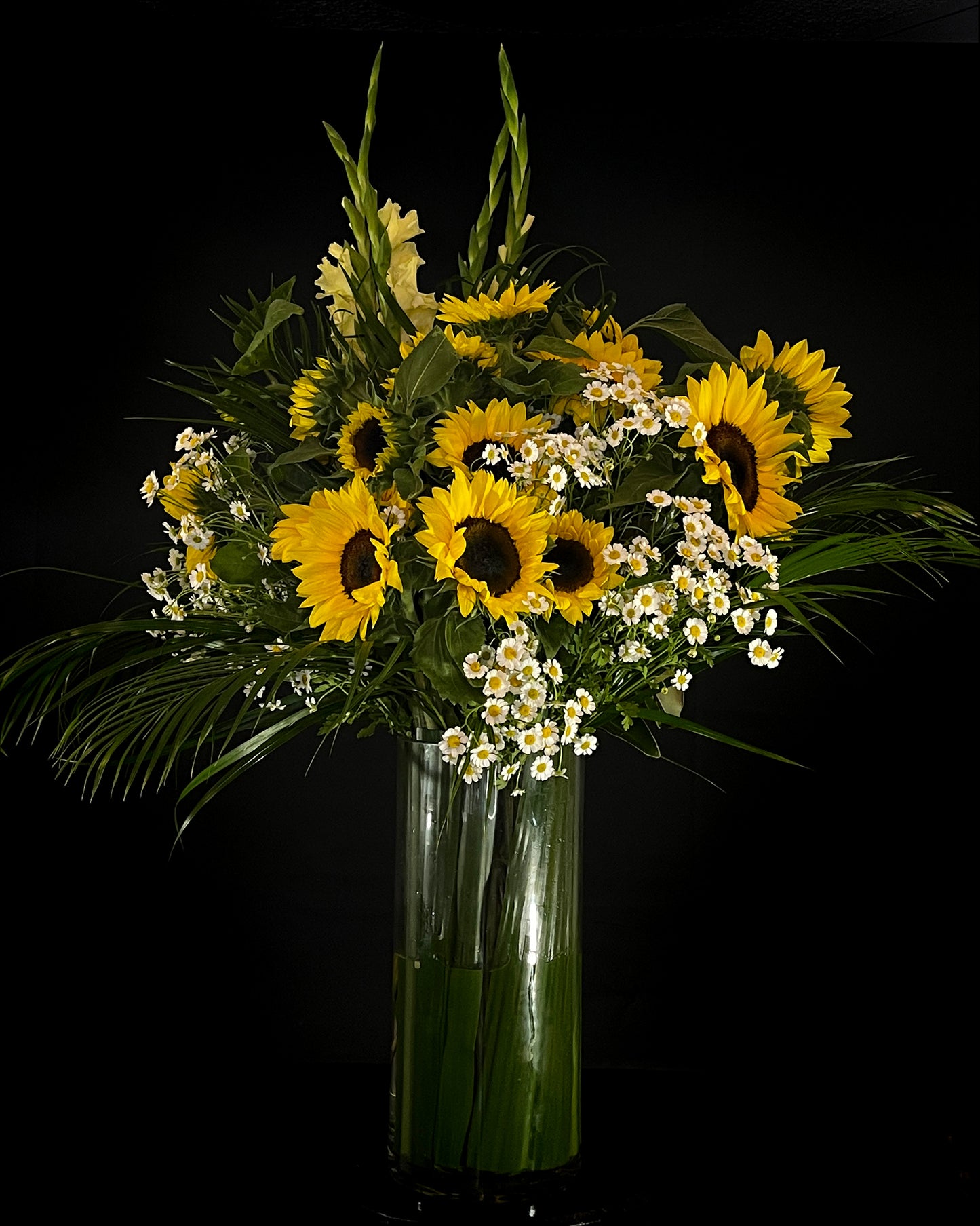 Sunflowers & Bright Sydney