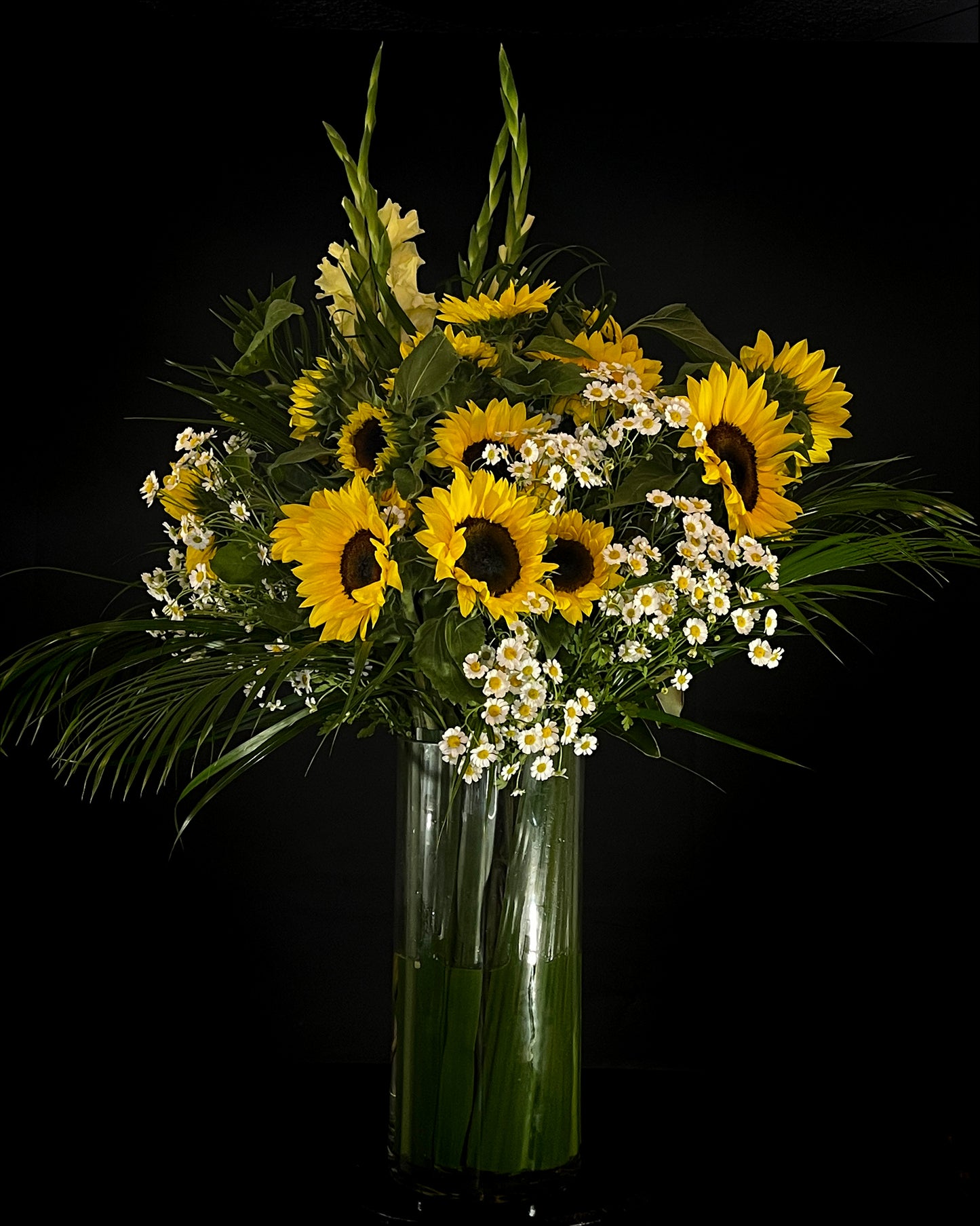 
                  
                    Sunflowers & Bright Sydney
                  
                