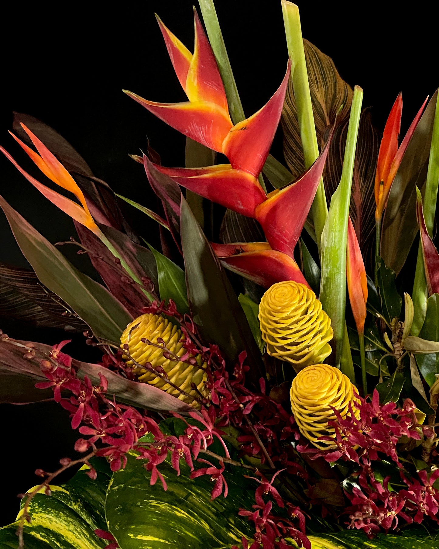 Tropical & Bright Flowers