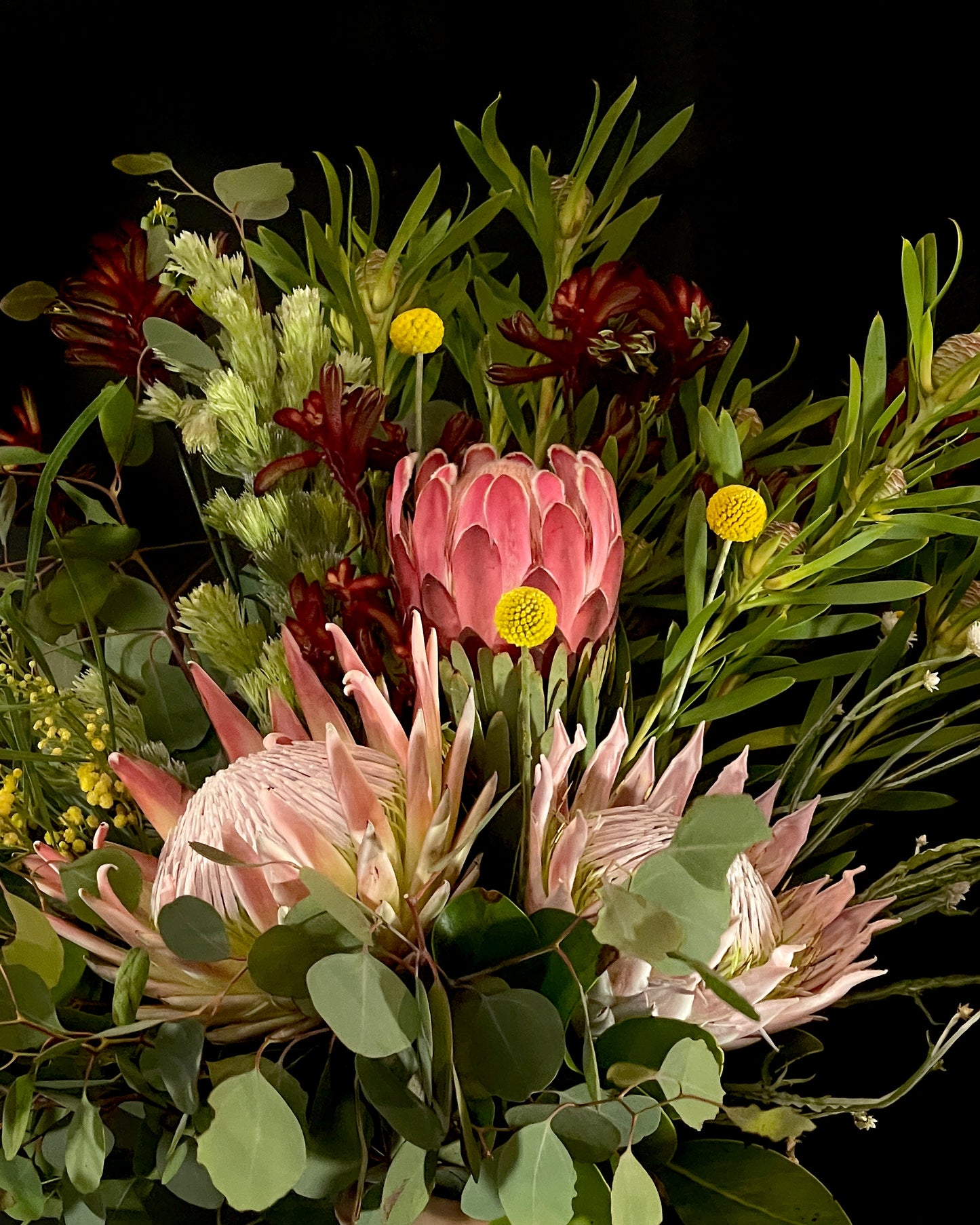 Native Flowers Sydney