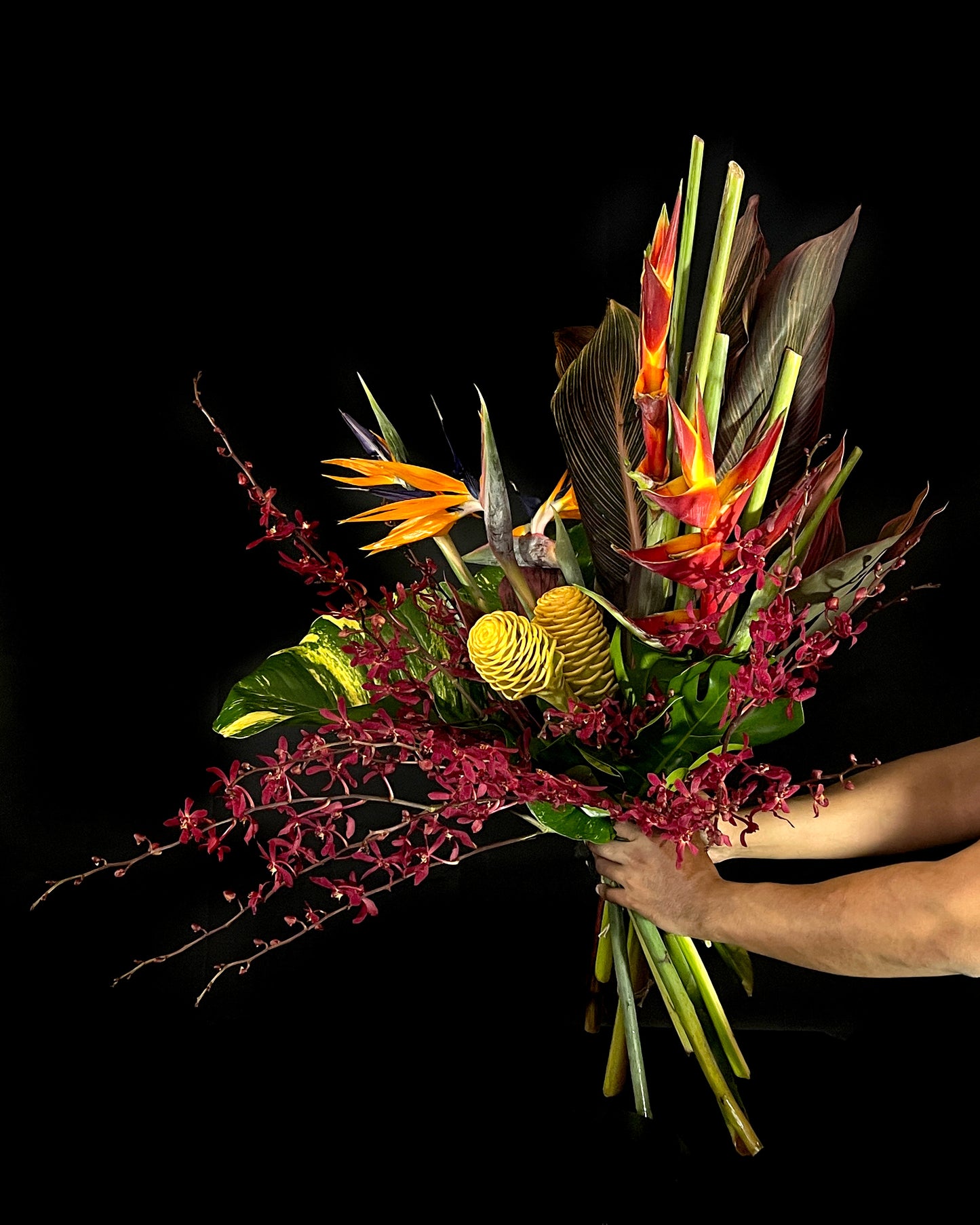 Tropical & Bright Flowers