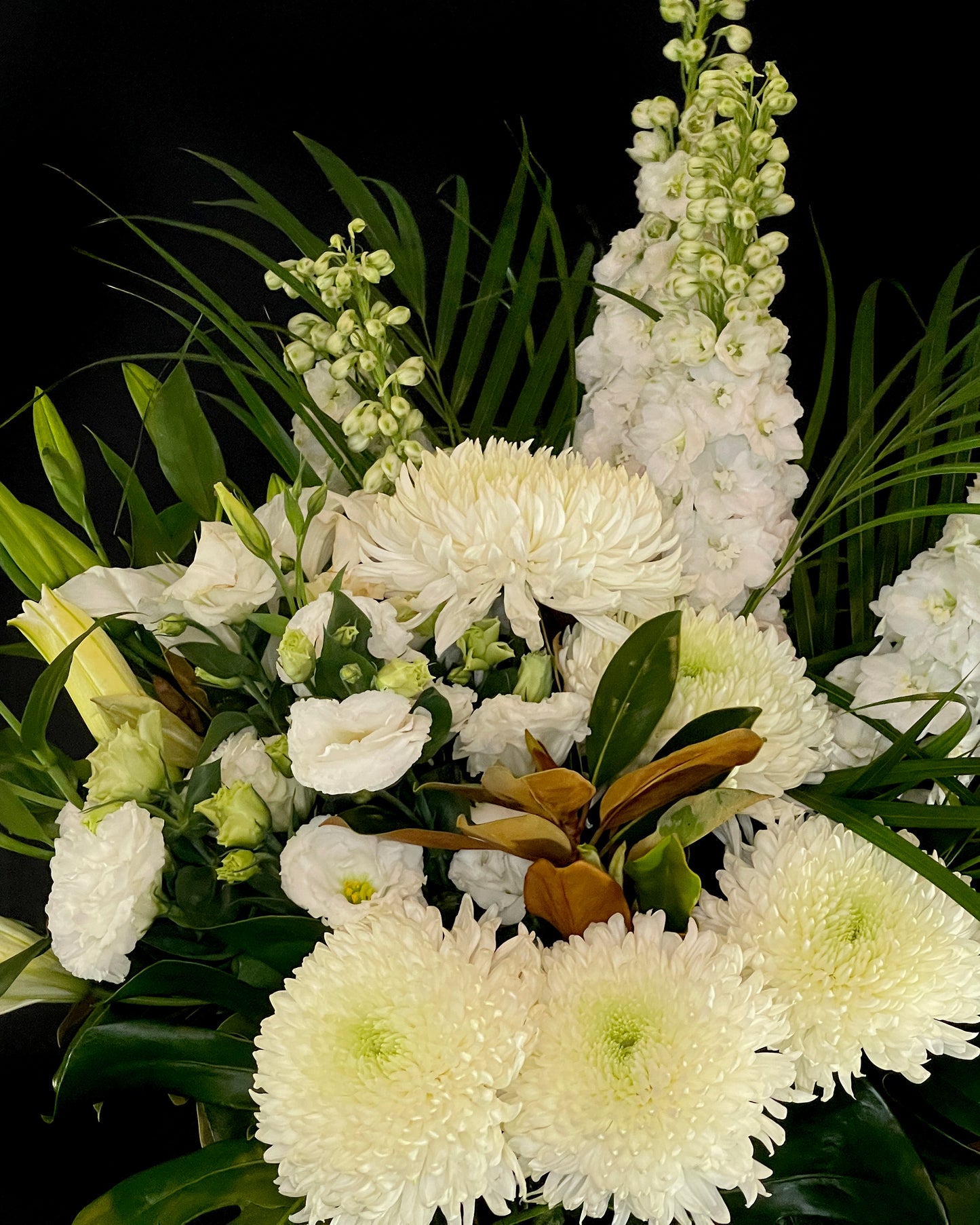 Luxe Collection: Pure Grace - Large