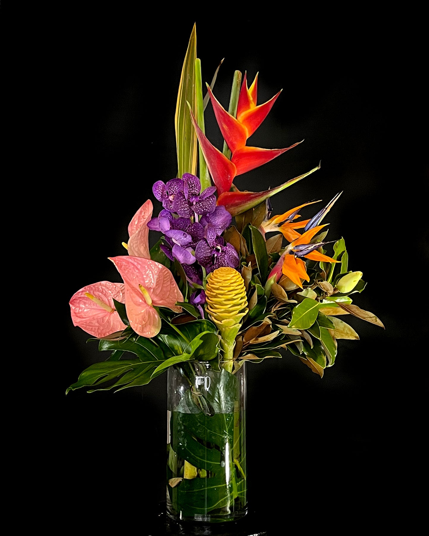 Bright Flowers for Delivery Same Day Sydney
