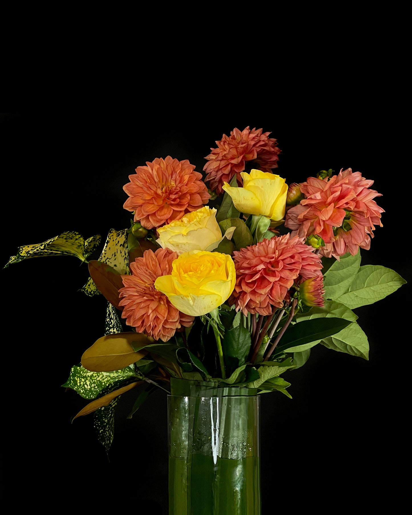 Orange Flowers, Yellow Flowers, Fresh flowers Crows Nest