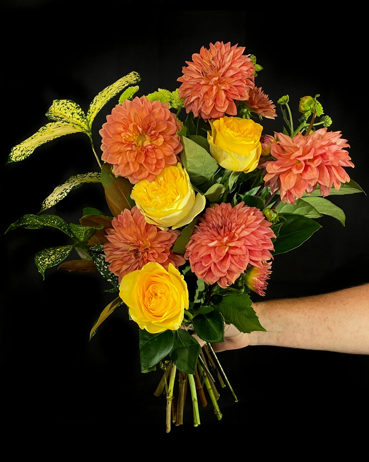 Citrus Flowers, Fresh in Crows Nest