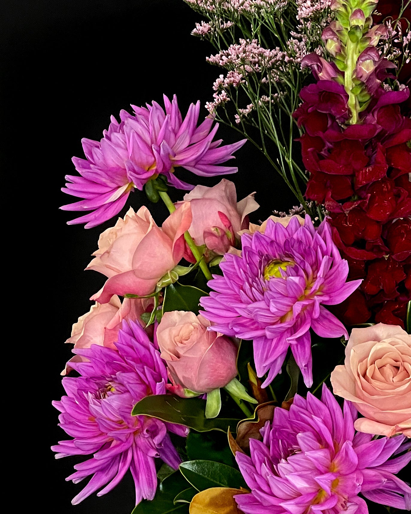Local Roses, Pink Dahlia, Fresh Flowers