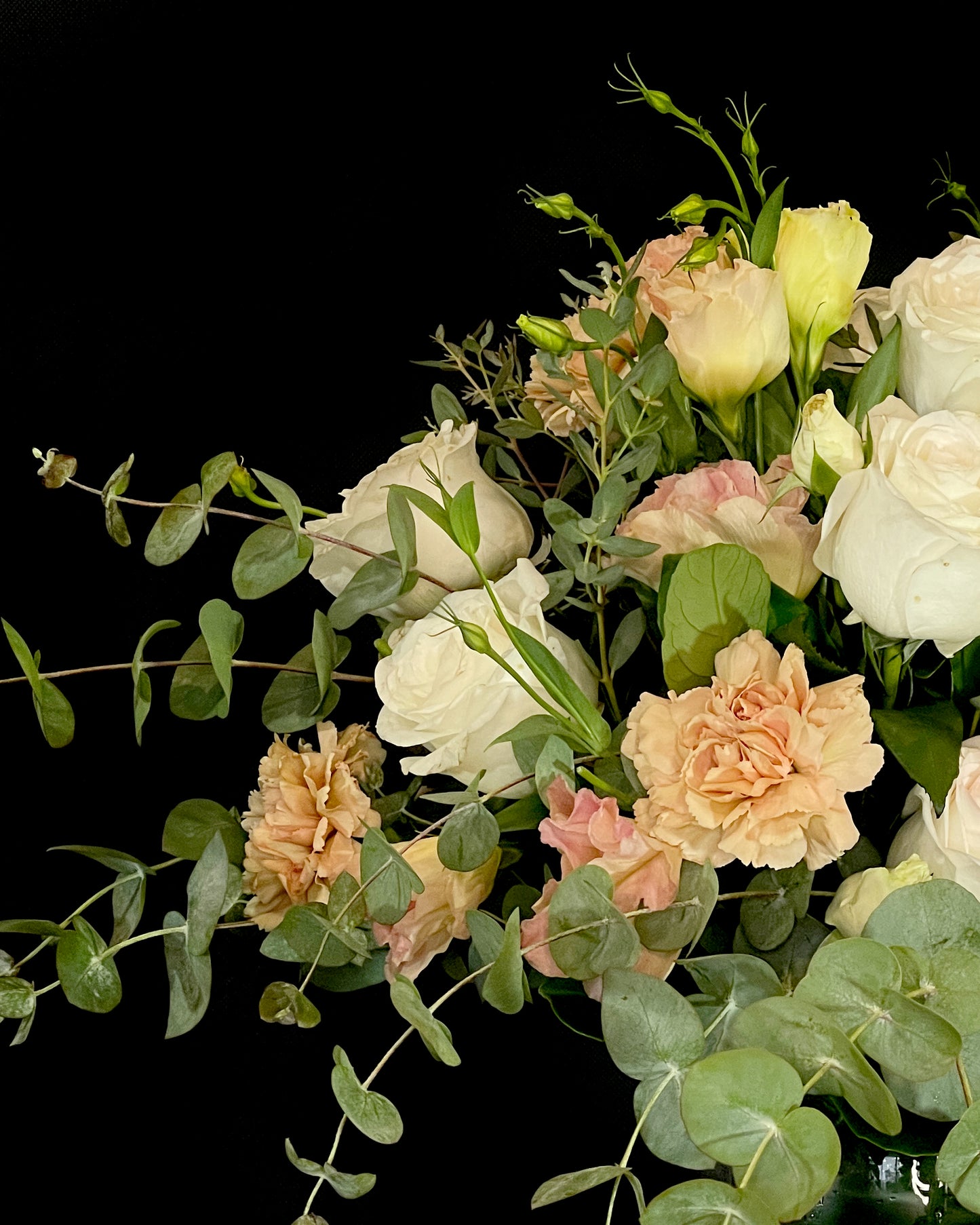 Local Roses, Native foliage, fresh beautiful flowers Crows Nest