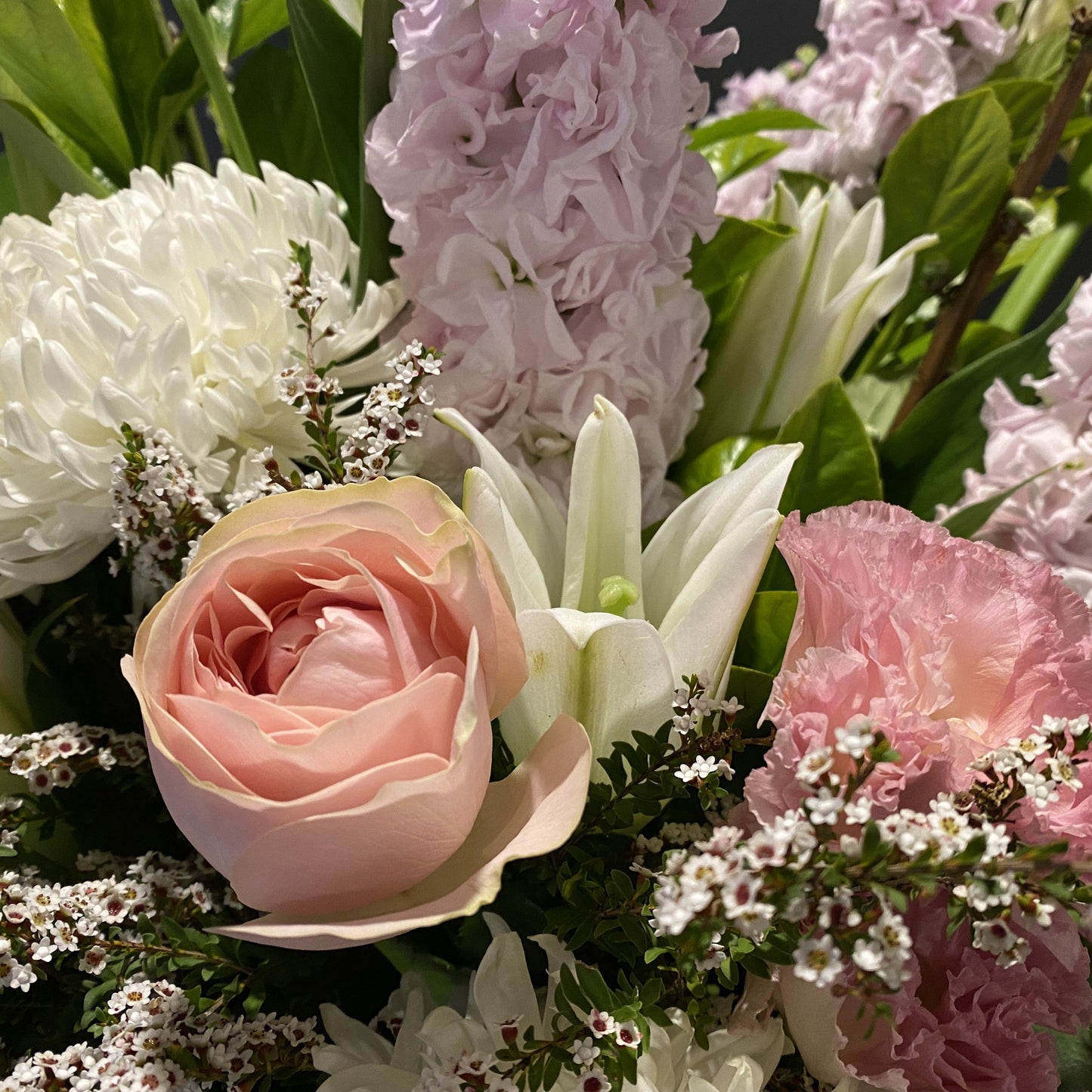 Classic Collection: Elegant and classic - Extra Large