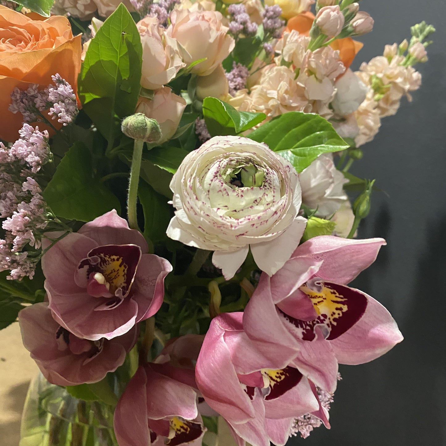 Cymbidium Orchid