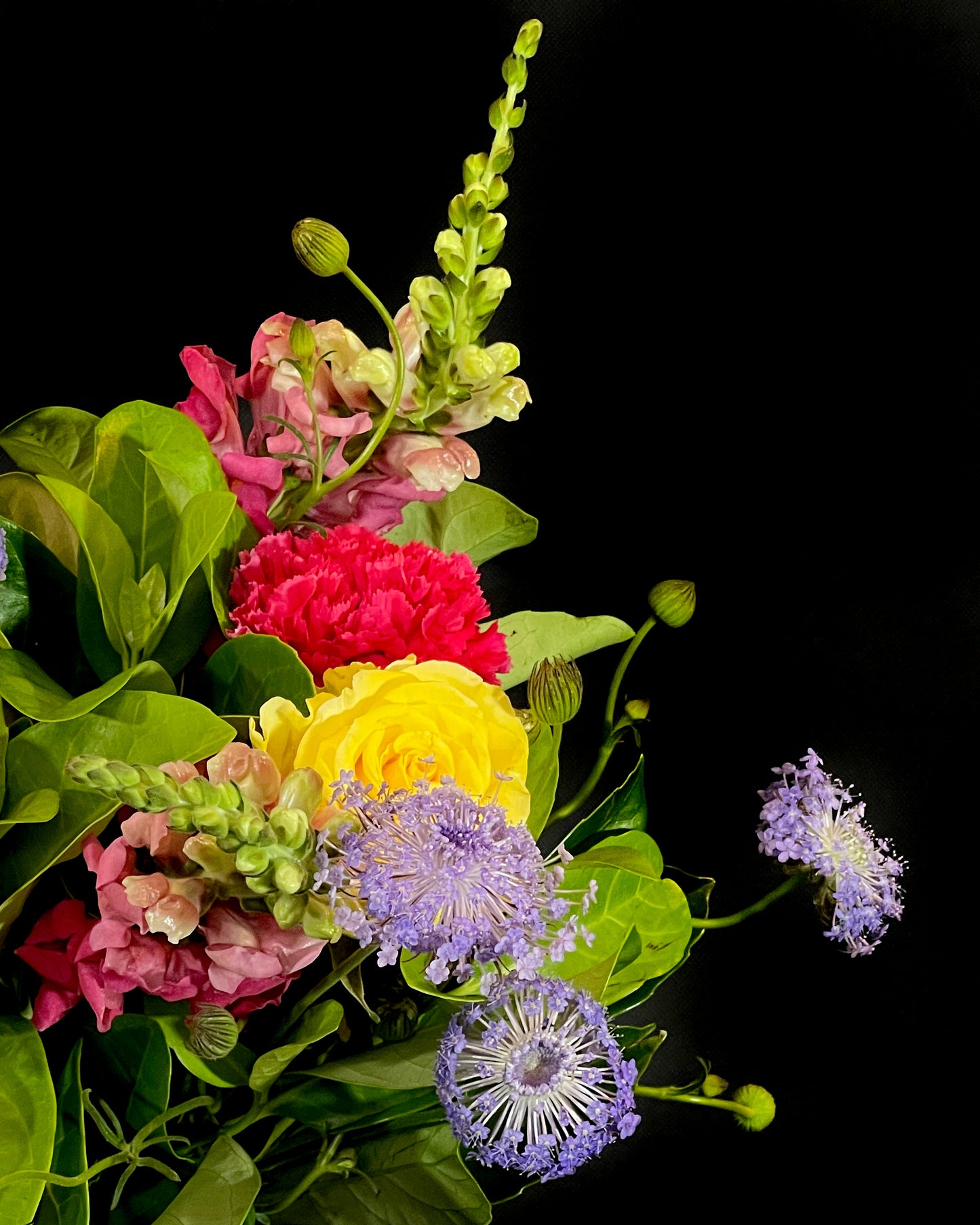 Yellow flowers, red flowers