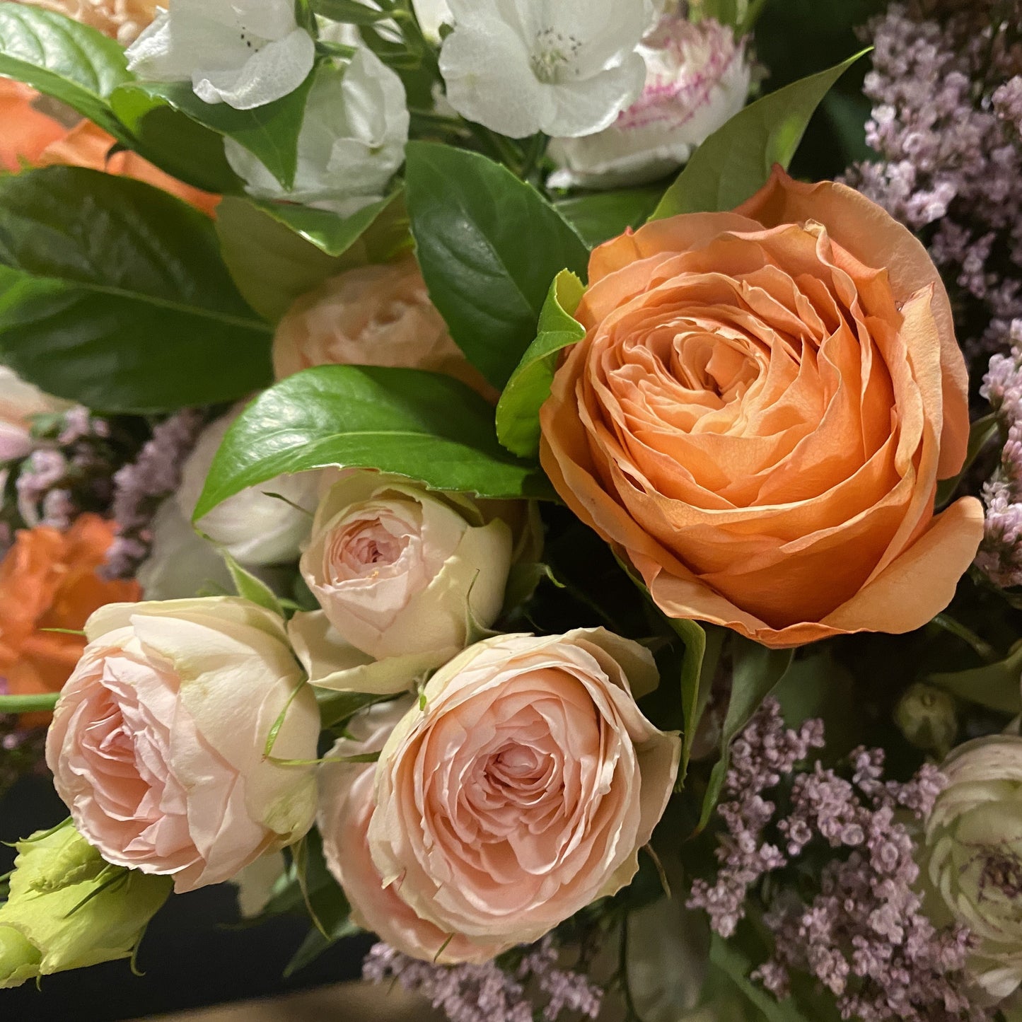 Fresh local roses
