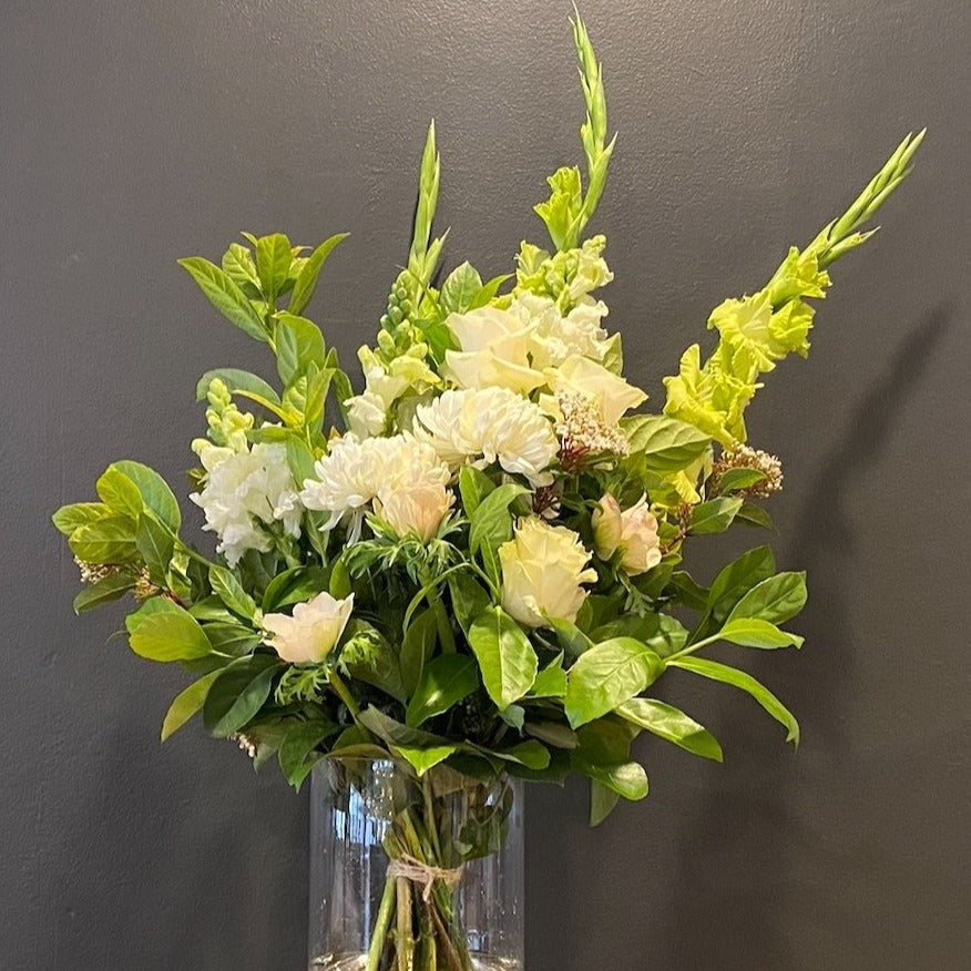 Classic Collection: Elegant and classic - Extra Large