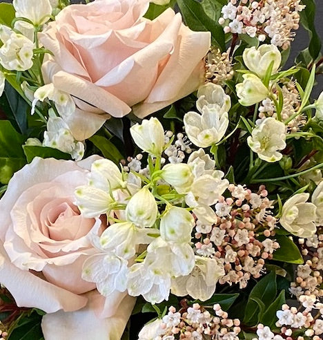 Local Roses, Spring blooms