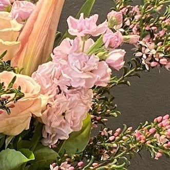 Classic Collection: Soft and Pretty - Extra Large