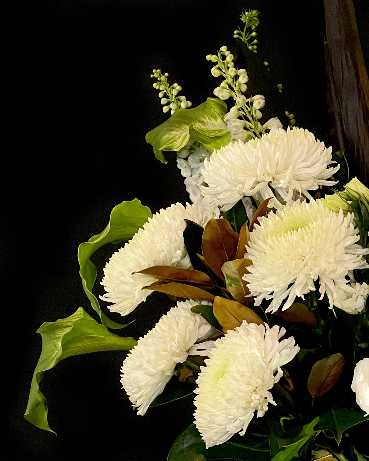 
                  
                    White and Green Flowers
                  
                