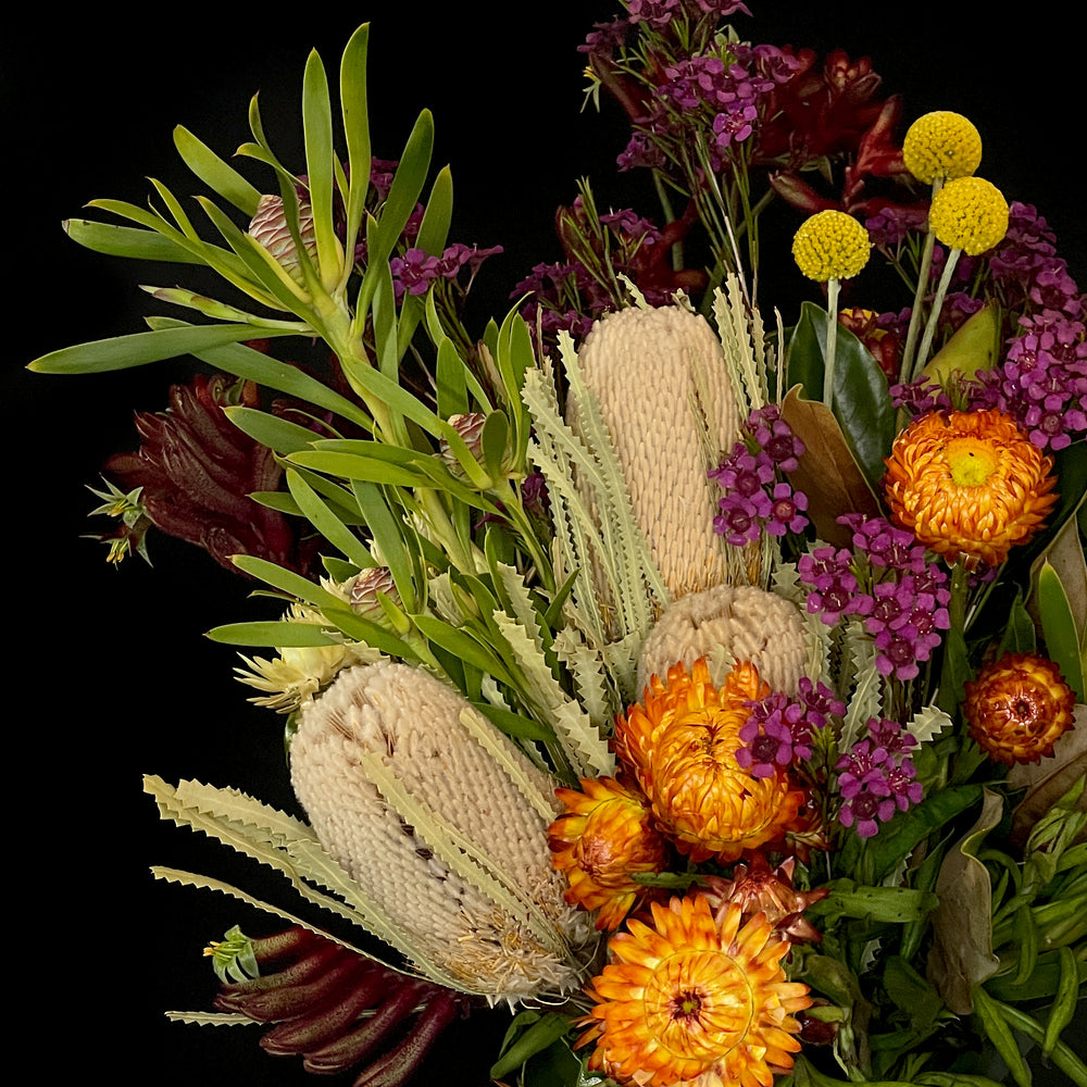Banksia, Billy Button, Native Flowers