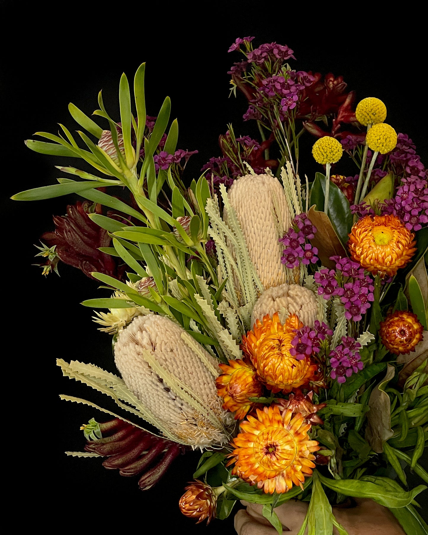 Banksia, Billy Button, Native Flowers