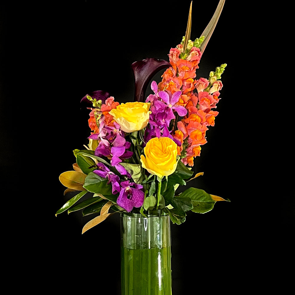 Bright and vibrant Flowers for Same Day delivery Sydney