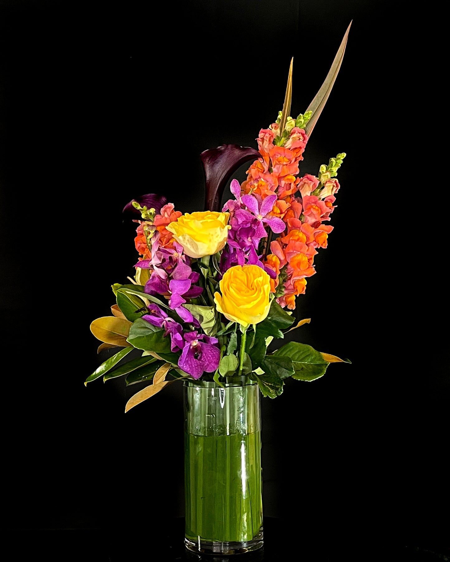 Bright and vibrant Flowers for Same Day delivery Sydney